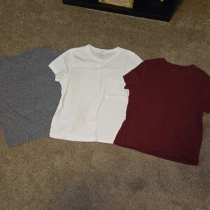 Arizona Jean Company Gray, White, and Burgundy Crop Tops